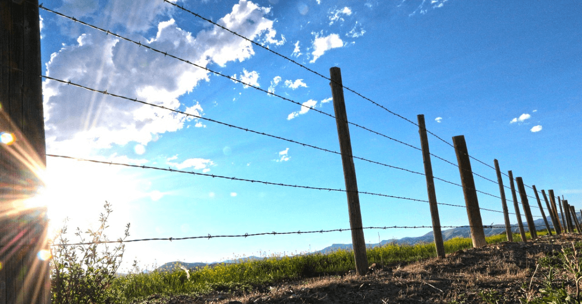 Featured Image for Building a Fence for Added Property Value